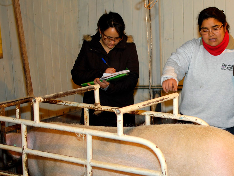 Técnico en Agrícola y Ganadero se acredita por 5 años