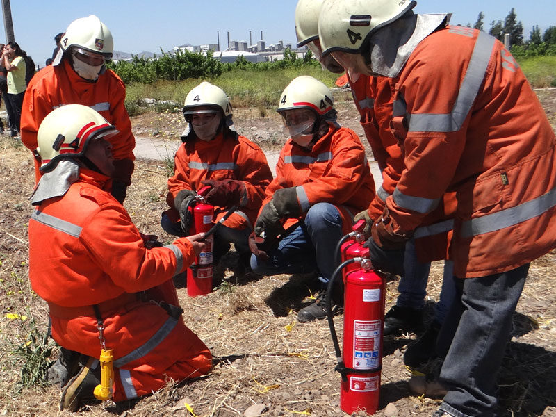 Carrera Prevención de Riesgos del CFT obtiene su acreditación por tres años