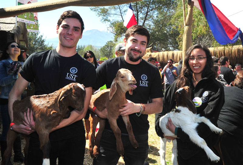 Granja Educativa de la UST en Semana de la Chilenidad