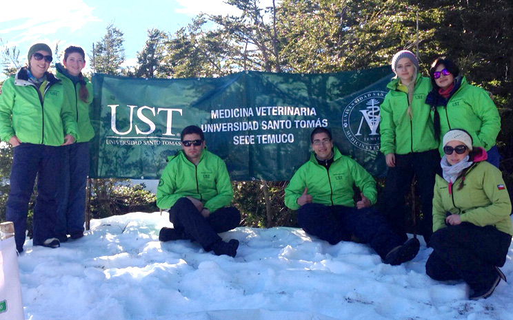 Carrera de Medicina Veterinaria brindó apoyo médico en competencia internacional de mushing