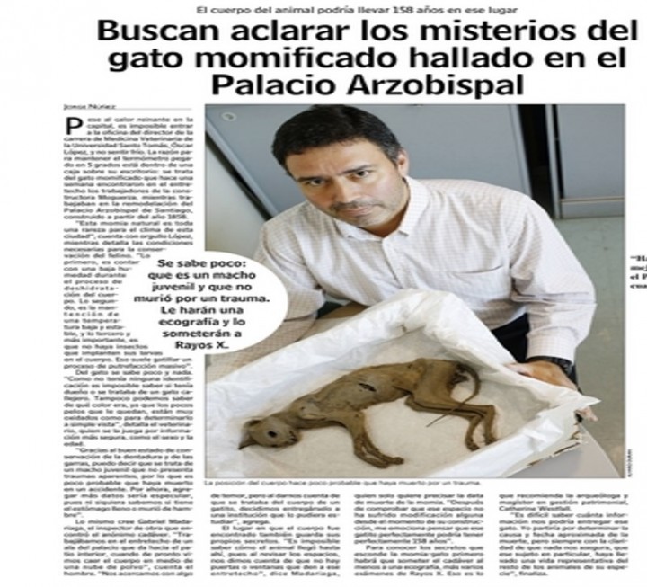 Buscan aclarar los misterios del gato momificado