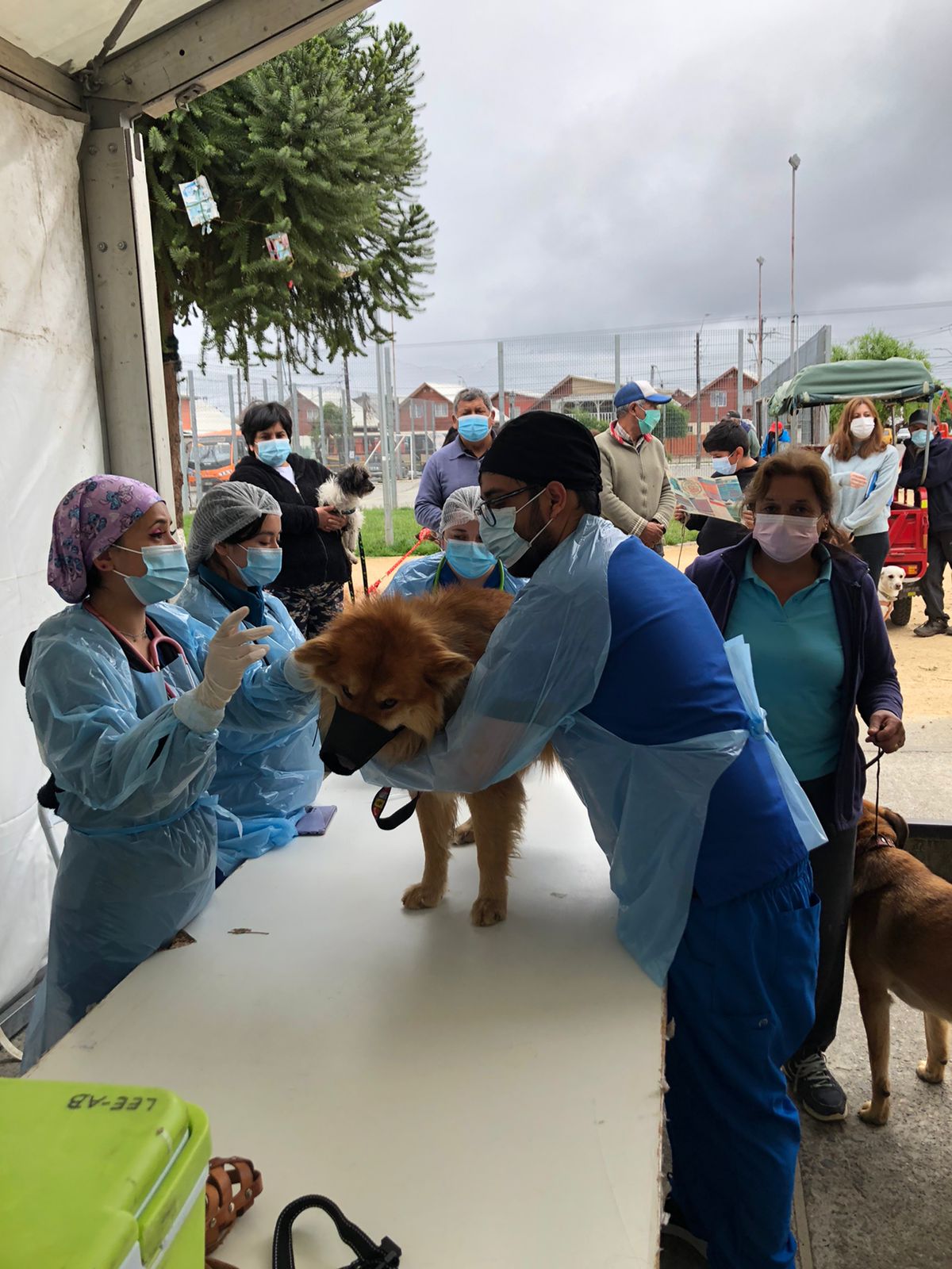 Estudiantes realizan operativo de vacunación y actividades preventivas de Zoonosis