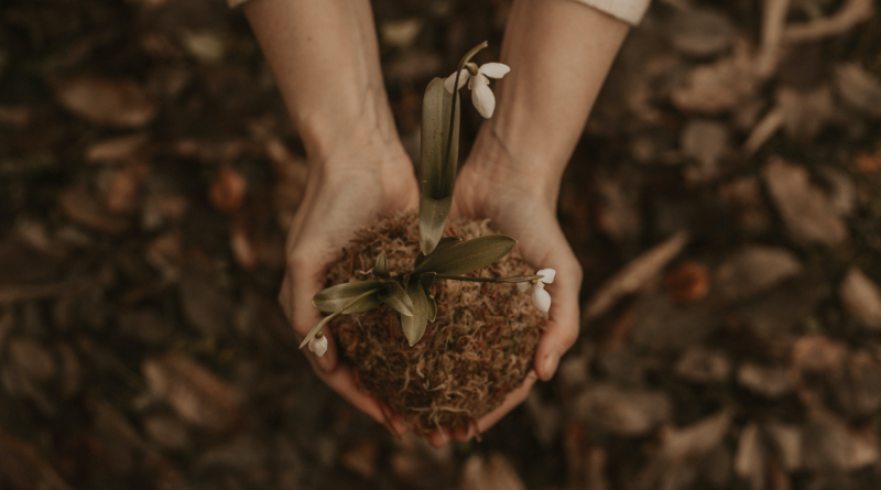 Participa del Concurso de Fotografía Digital “El Suelo como fuente de vida”