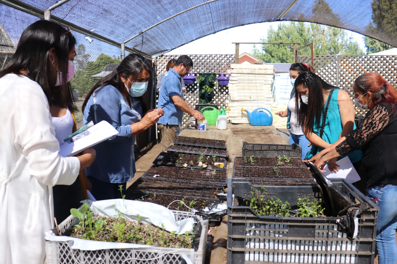 Santo Tomás y CChC Desarrollan Taller de Huertos Urbanos