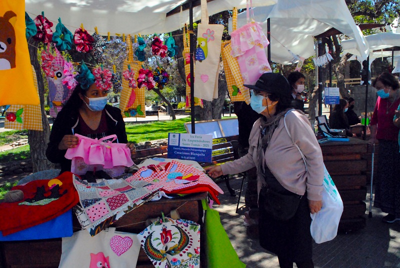 Primera Feria Emprendedores Santo Tomás se realizó en Ovalle