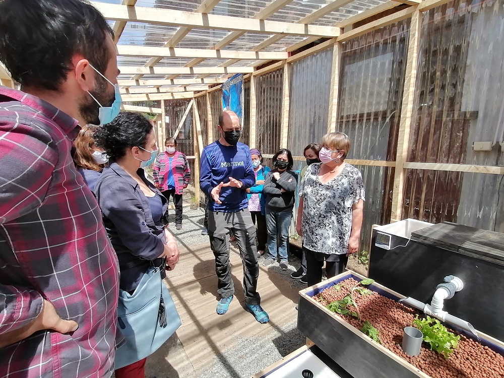 Área de Ingeniería Santo Tomás Osorno realizó proyecto que permitirá a adultos mayores de Puerto Octay cultivar hortalizas con innovador sistema de acuaponía