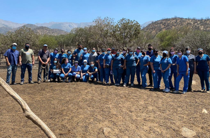 Tomasinos de Técnico en Veterinaria realizan operativos sanitarios en Lampa y Curacaví