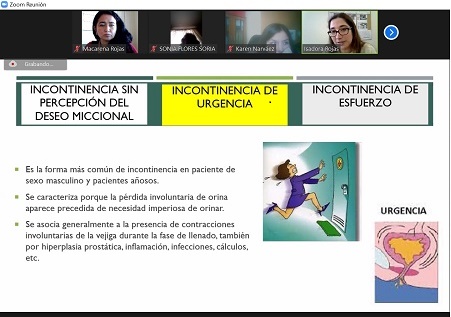 Carreras de Kinesiología y Terapia Ocupacional de la Universidad Santo Tomás Sede La Serena participan de conversatorio Envejecimiento saludable y la importancia del EMPAM