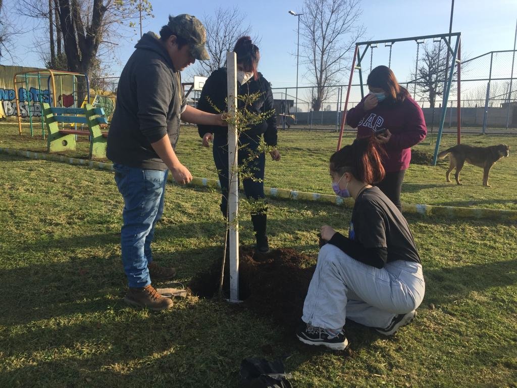 Agrupación Red Verde de Santo Tomás Osorno realizó trabajos de plantación de árboles y hermosamiento de áreas verdes