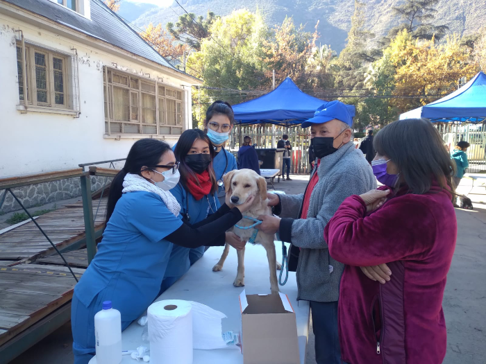 Tomasinos de Técnico en Veterinaria realizan operativos sanitarios en Til Til y San José de Maipo