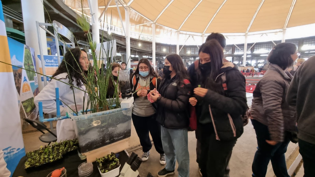 Universidad Santo Tomás Temuco participa del Festival de las ciencias, artes y saberes de La Araucanía