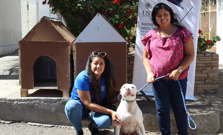 Estudiantes de ingeniería construyeron casas térmicas para perros de agrupación animalista en Antofagasta