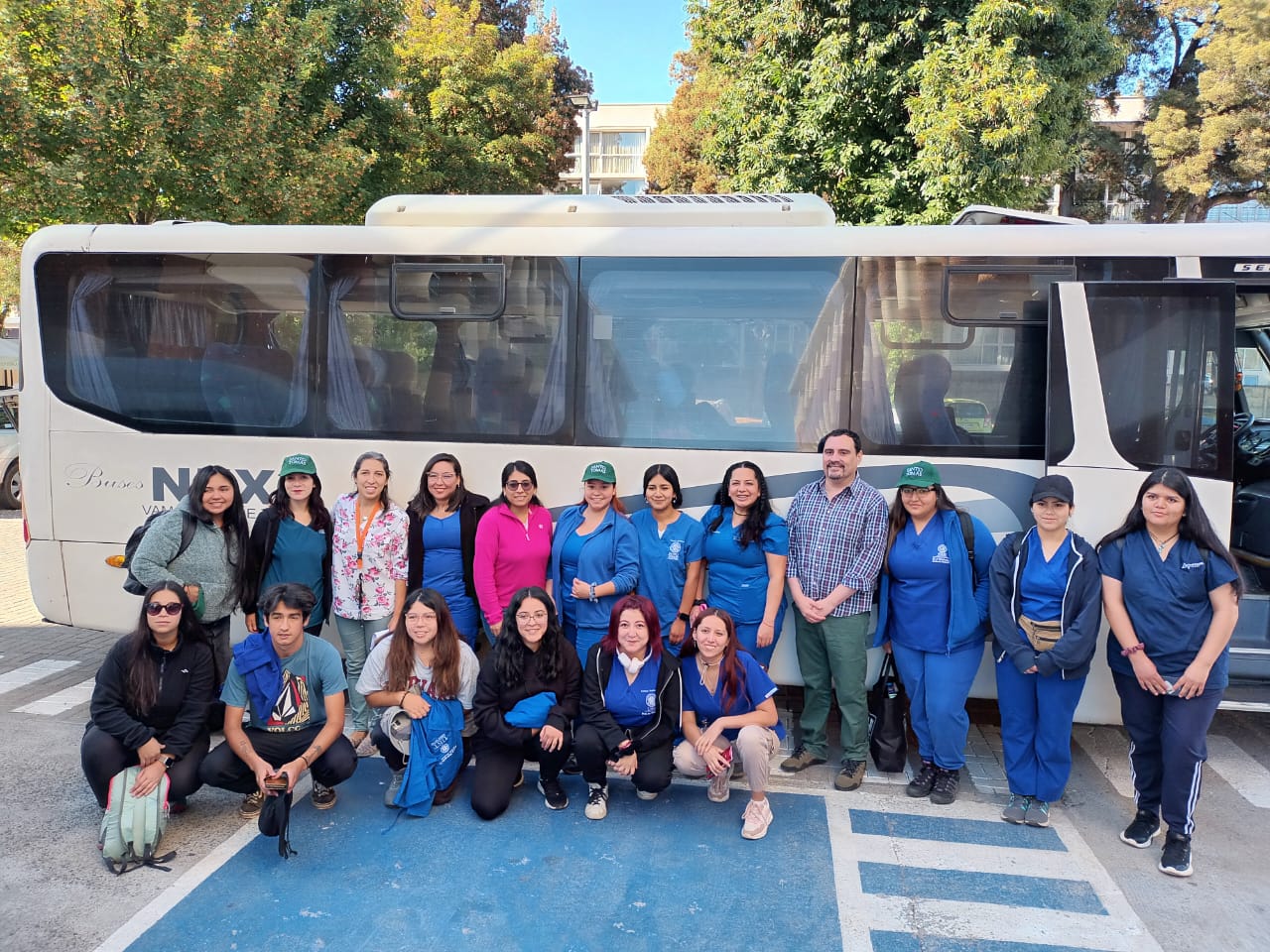 Estudiantes de Santo Tomás Temuco colaboran con animales afectados por incendios