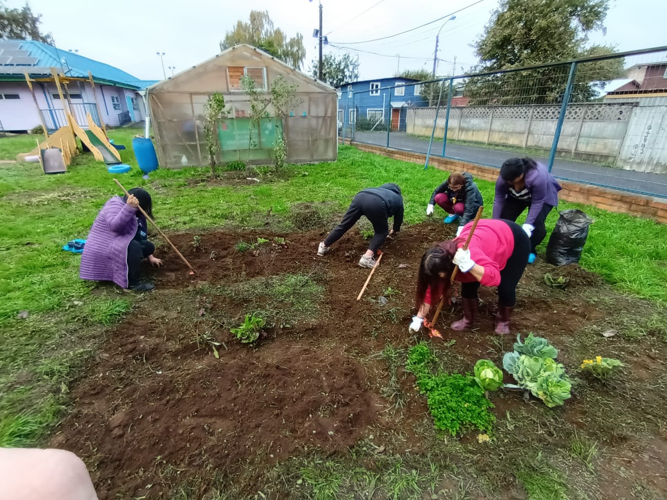 Diversas acciones solidarias protagonizaron estudiantes de Santo Tomás Osorno en Mechoneo Solidario