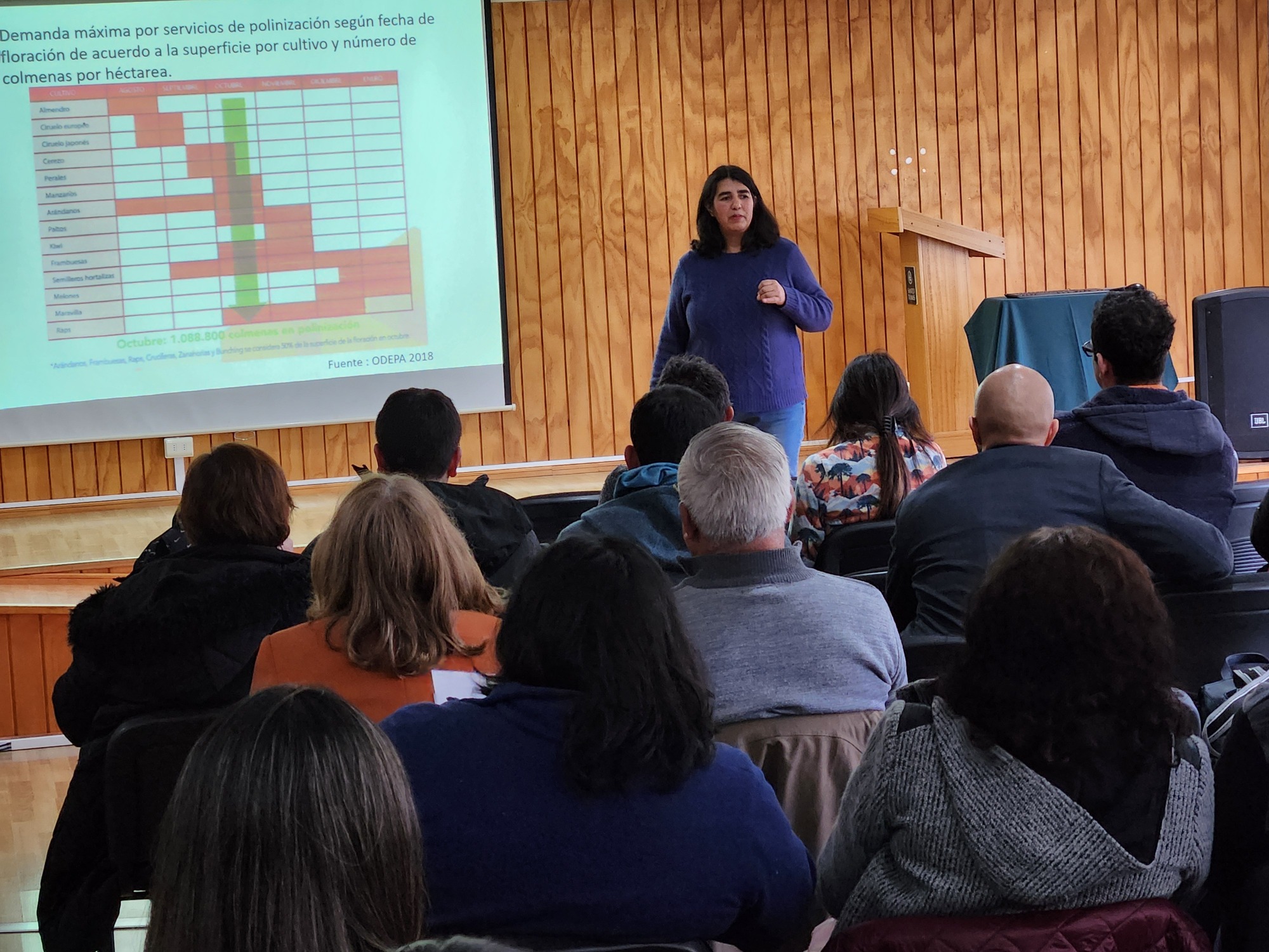 Taller de nutrición, sanidad y manejo de colmenas para un buen servicio de polinización se desarrolló en Santo Tomás Puerto Montt