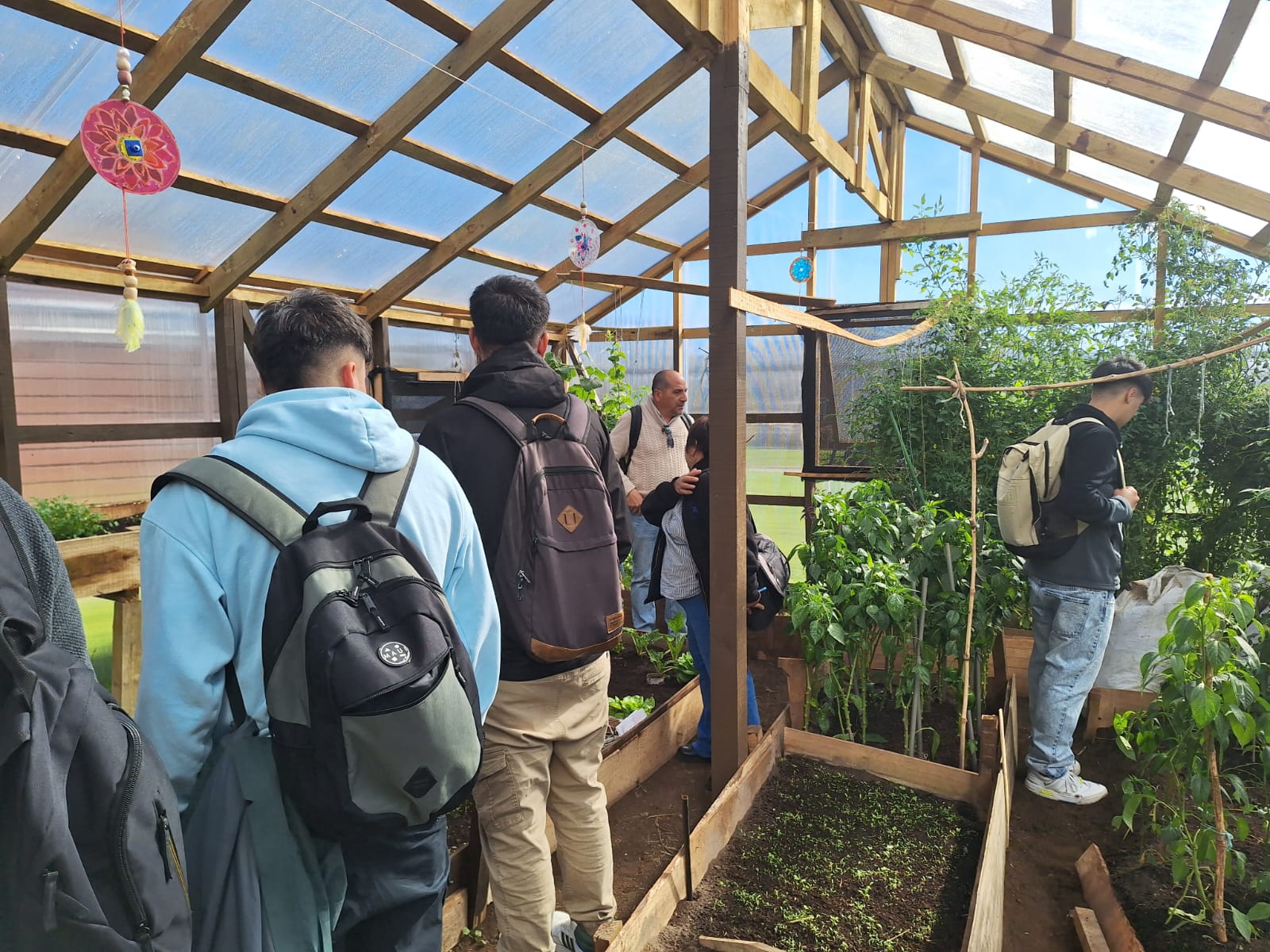 Proyecto Huertos Comunitarios de Santo Tomás Osorno avanza a su segunda etapa con implementación de sistema de acuaponía y energía fotovoltaica