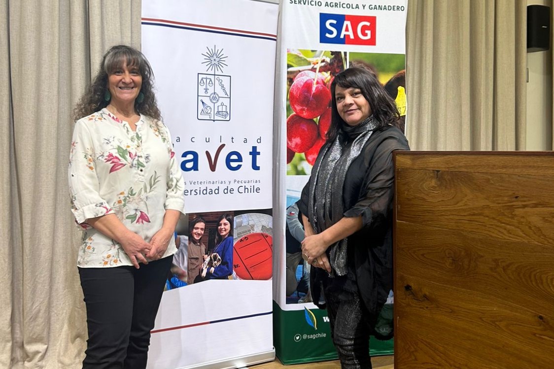 Directora de Ovisnova participa en seminario sobre perros de libre deambular en la Casa Central de la Universidad de Chile