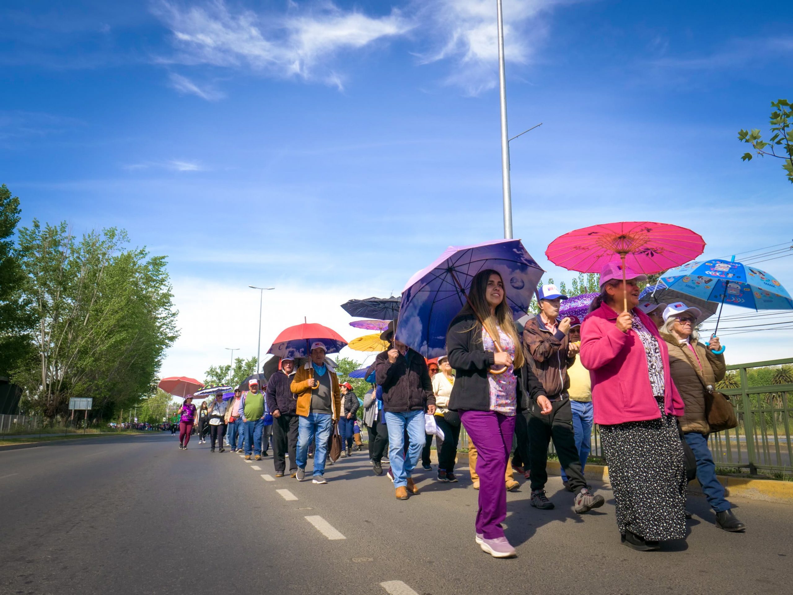 Adultos Mayores conmemoraron su día con caminata de paraguas de colores y feria en Santo Tomás Talca