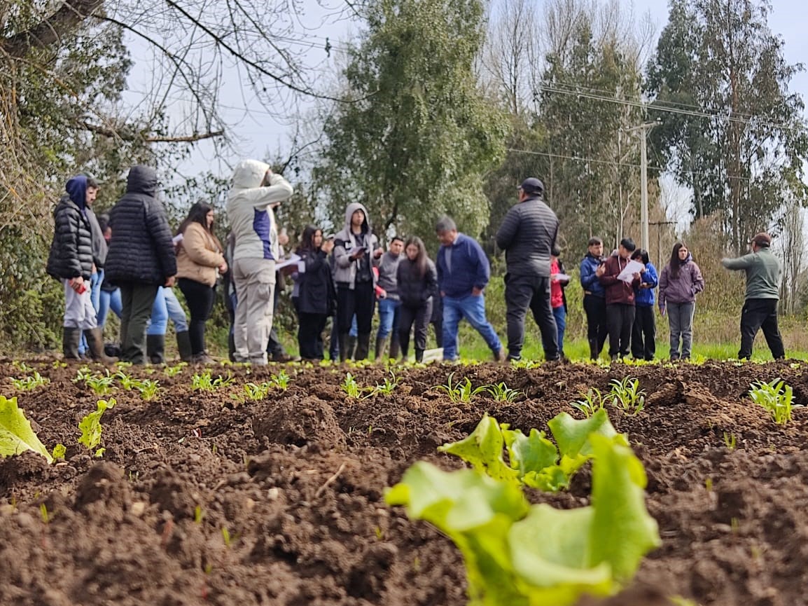 Santo Tomás y Cooperativas de Chile impulsan programa p ...