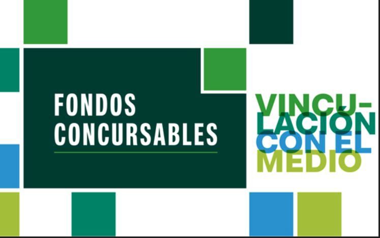 Fondos Concursables VcM cierra con éxito su convocatoria 2025