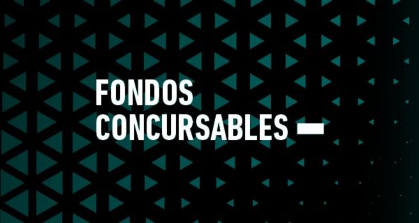 Participa en el lanzamiento de los Fondos Concursables para Iniciativas de Vinculación con el Medio 2025