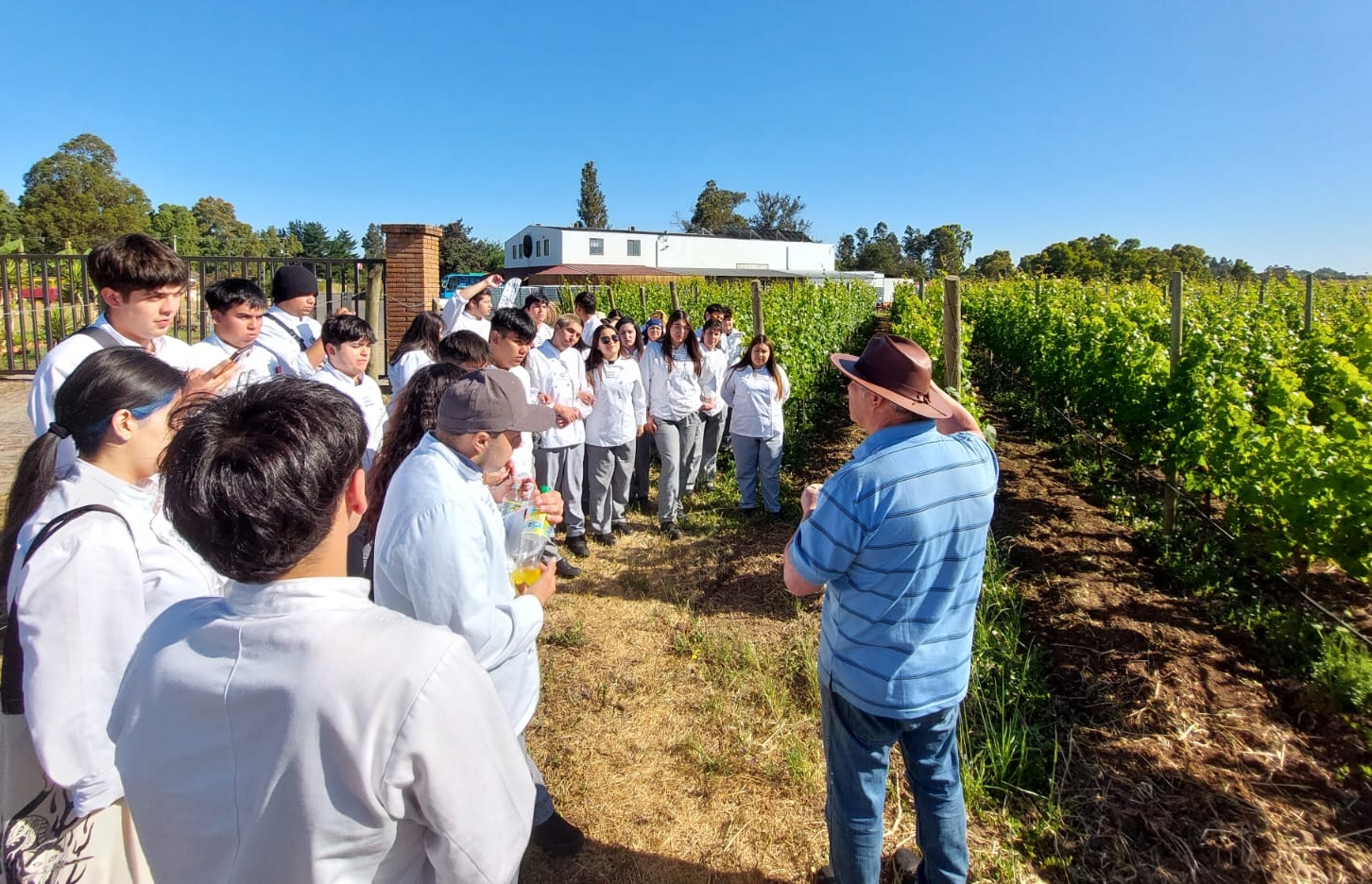 Estudiantes de Gastronomía de Santo Tomás Temuco exploran los secretos del maridaje en Ñuble