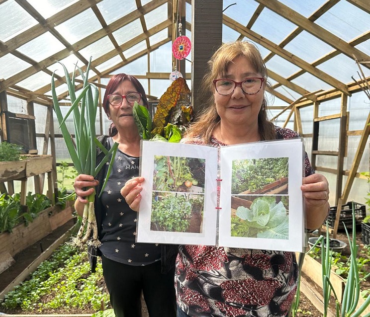 Construyendo cambios: el proyecto que cultiva vínculos  ...