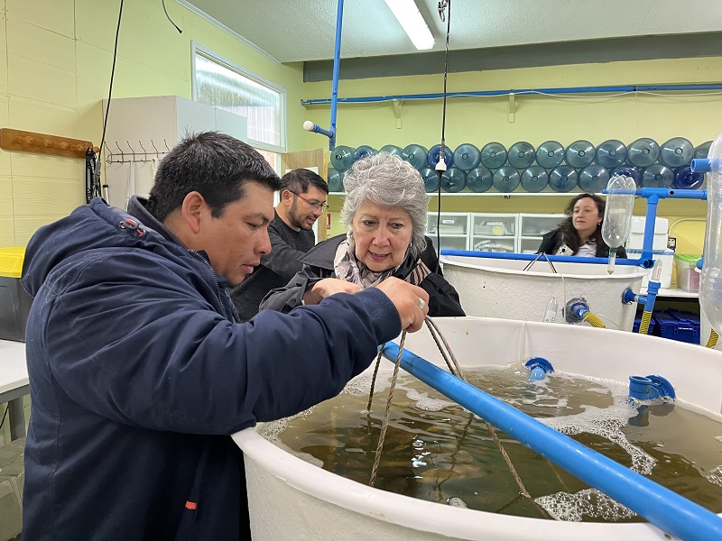 Pescadores Artesanales de Ancud cierran Programa de Repoblamiento con visita a Centro CAPIA de UST Puerto Montt