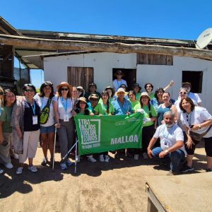 Trabajos Voluntarios de Verano Malloa 2025