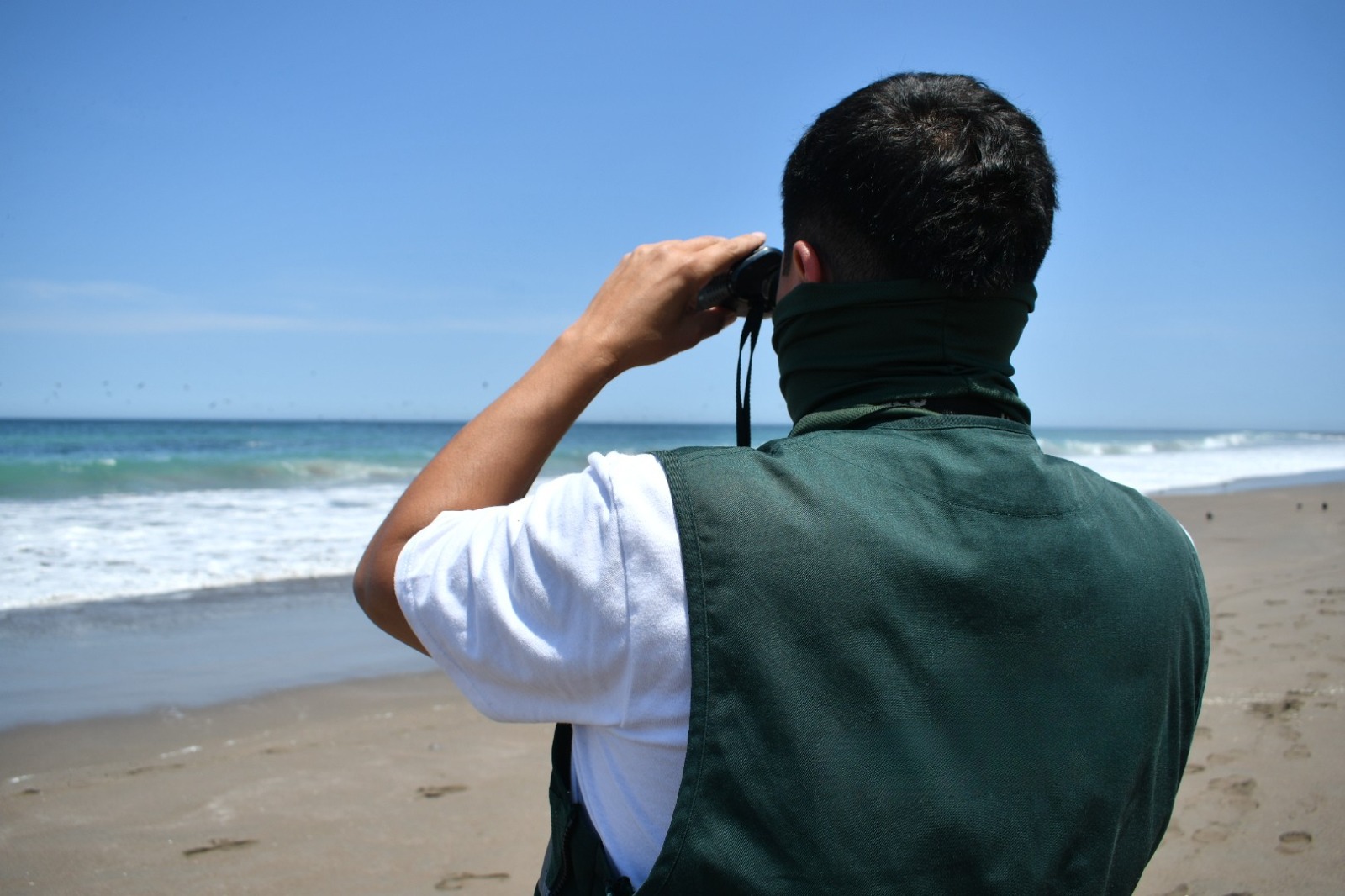 Desarrollarán innovadora plataforma para la conservación de Ecosistemas Marinos de Tarapacá